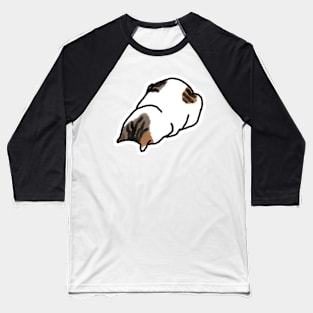 Faceplant Cat Baseball T-Shirt